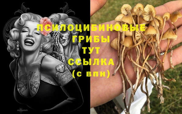 ПСИЛОЦИБИНОВЫЕ ГРИБЫ Абдулино